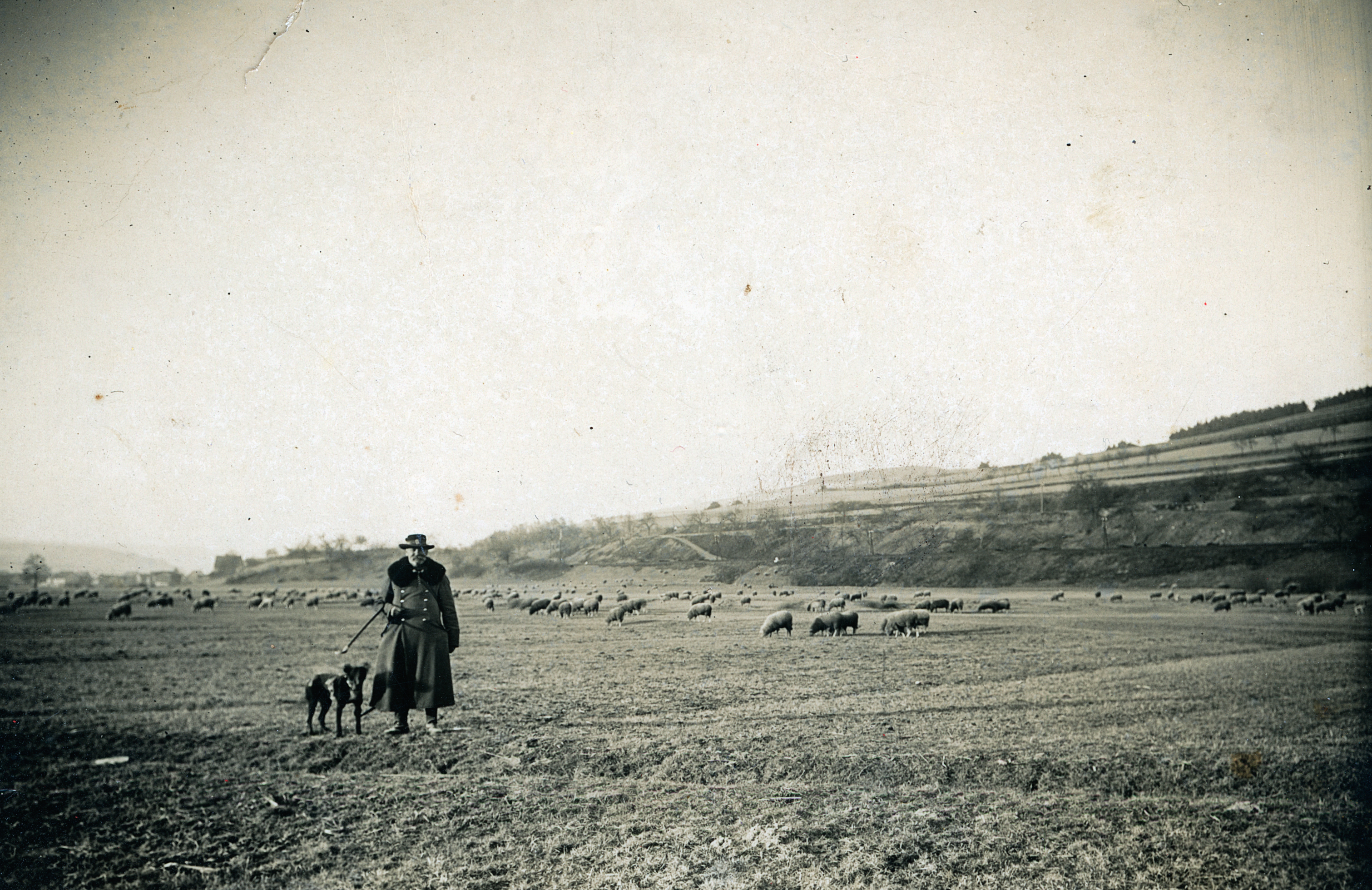 Schäfer Martin Greb 1930